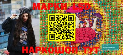 крисы Анапа