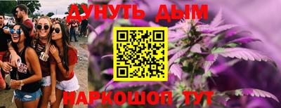 крисы Анапа