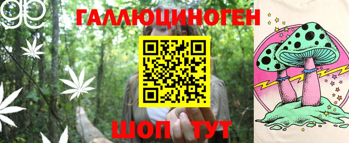 Галлюциногенные грибы Psilocybine cubensis  купить закладку  Горно-Алтайск  Галлюциногенные грибы MAGIC MUSHROOMS  Вход с VPN 